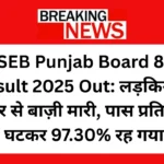 Punjab Board 8th Result 2025